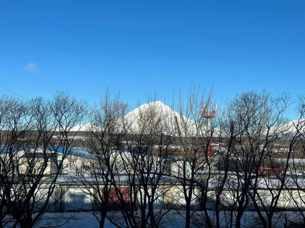 Квартира IZI home Kamchatka на ул. Заварицкого, 8