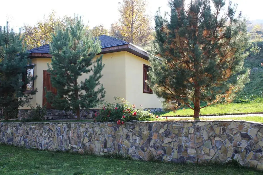 Svit Sontsya