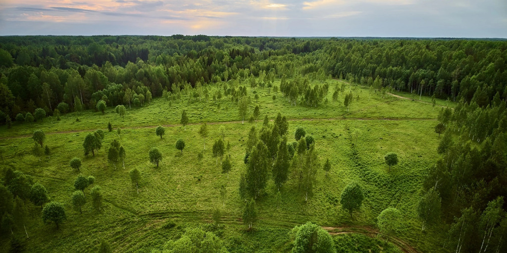 Бунгало Мазаная Горка