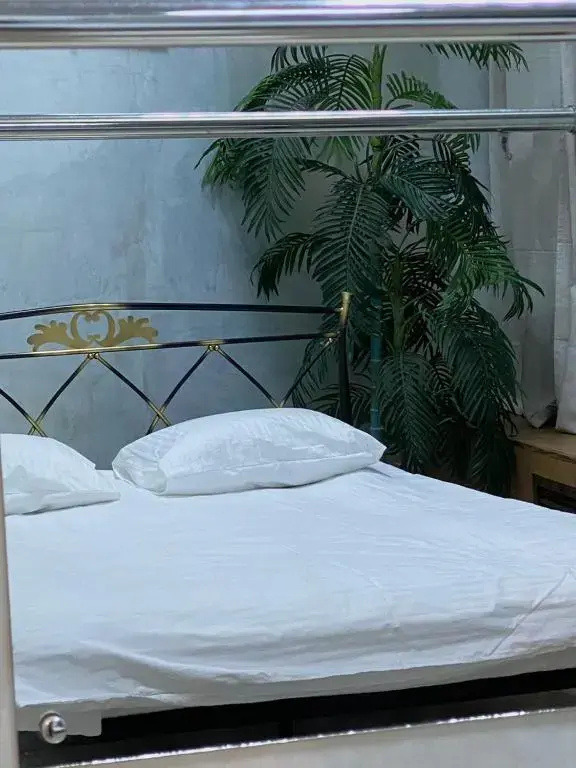 Отель Круиз