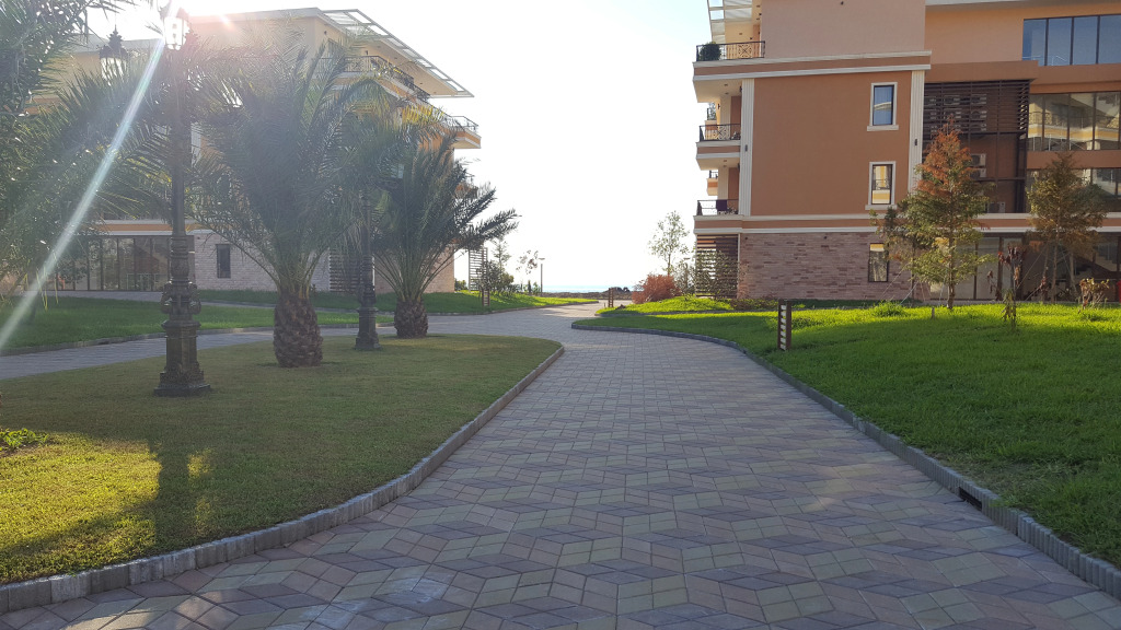 Dream Land Oasis