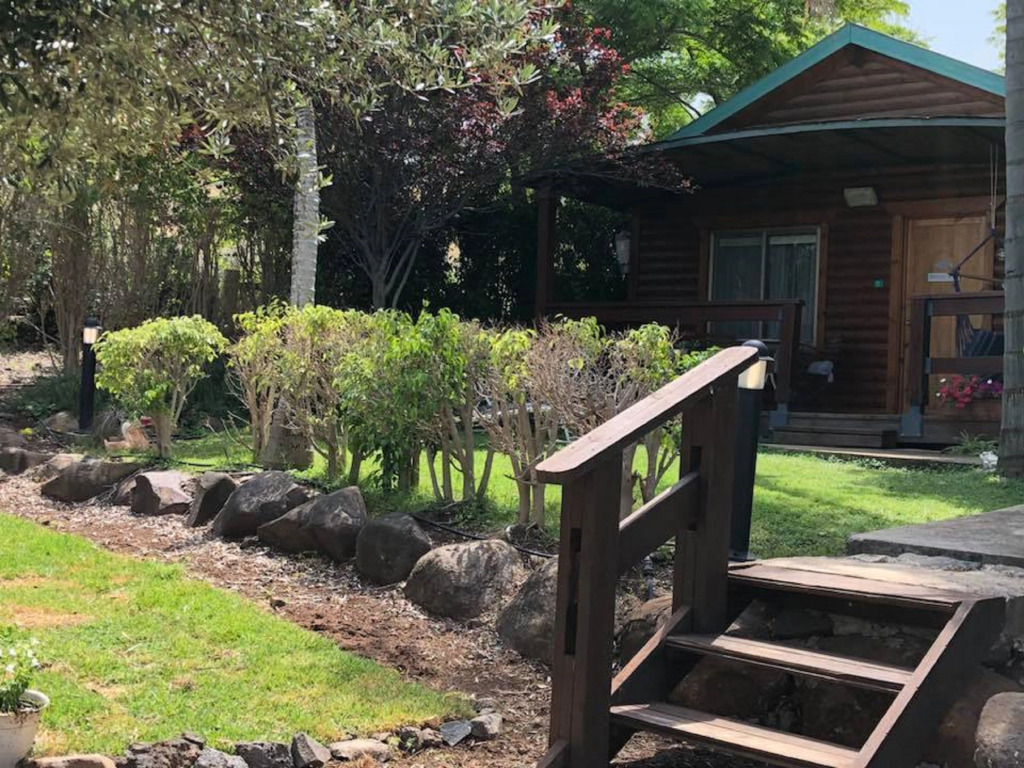Talma Cabins Shale