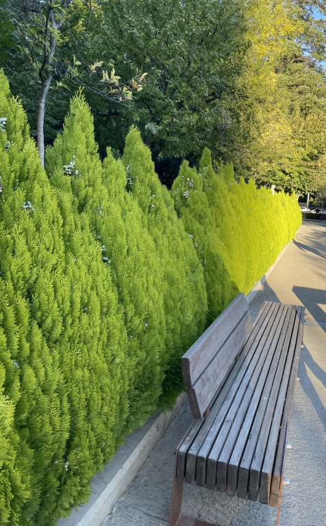 Апартаменты Gardens