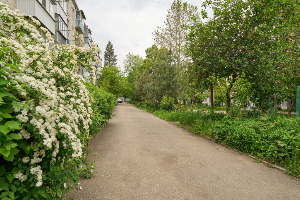Квартира уютная