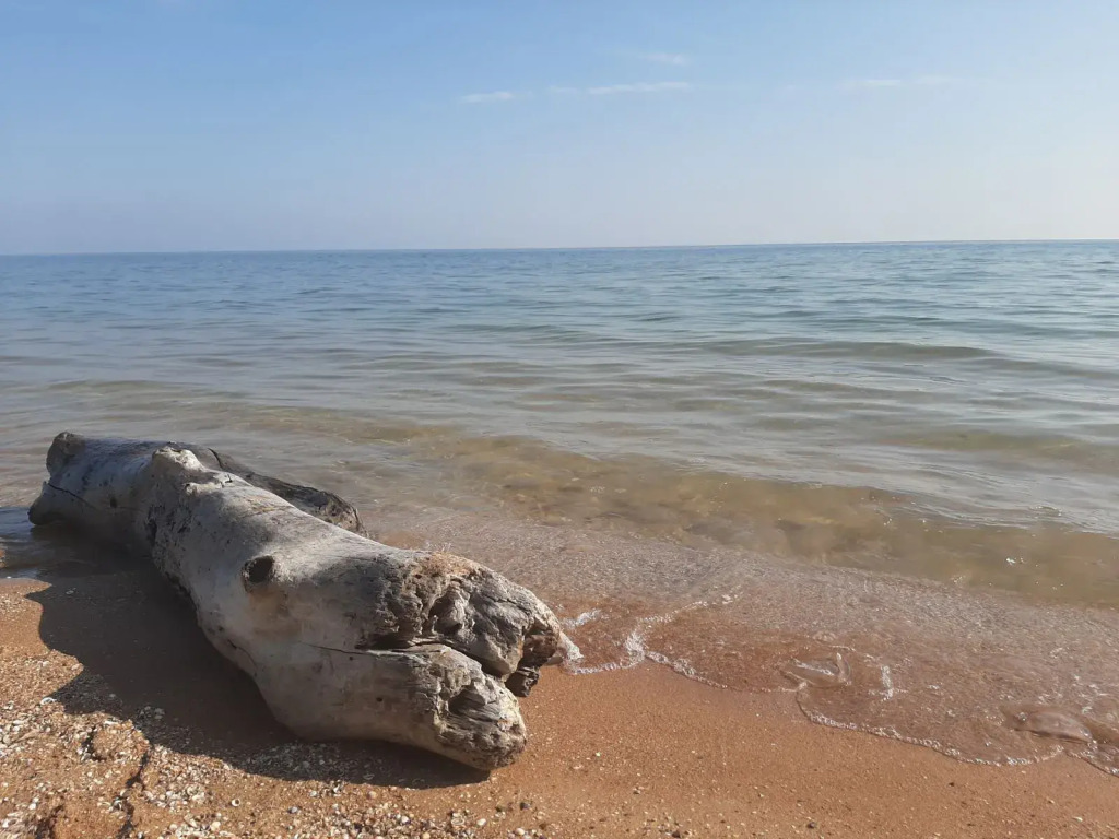 Гостевой дом на Бондаревой
