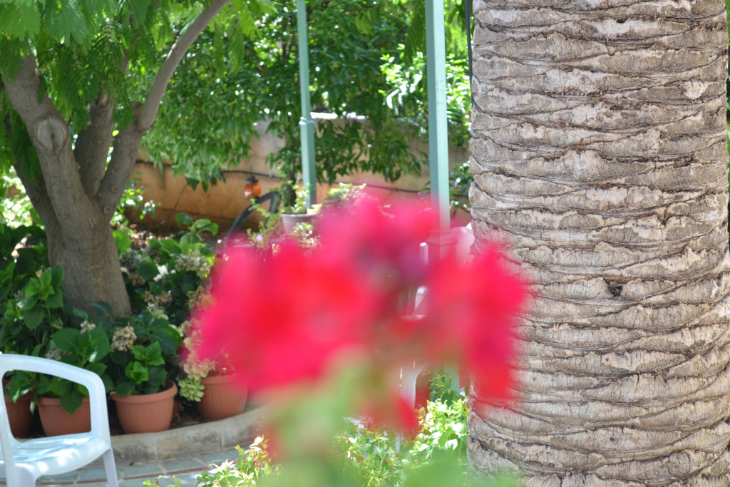 Гостевой дом Veggie Garden Athens