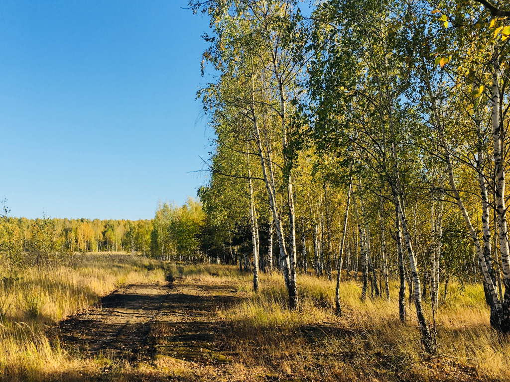 Загородный клуб Владимир