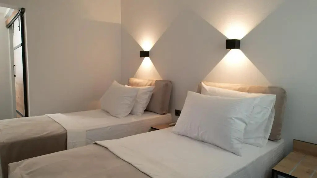 Отель The Professor's Hotel