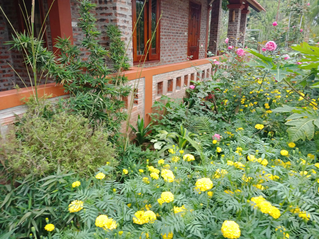 Ninh Binh Eco Garden