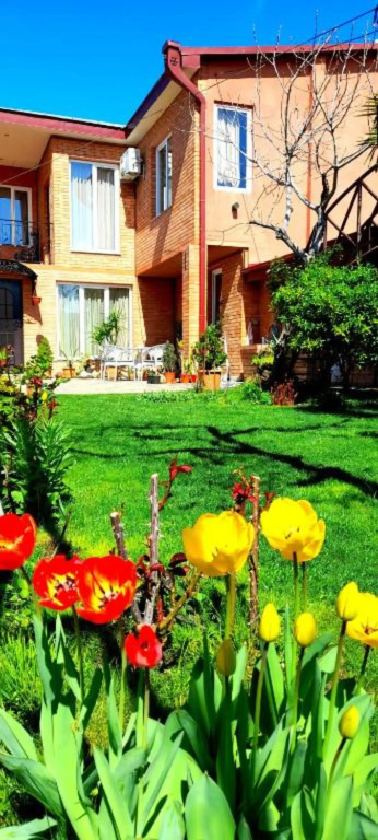 GREEN GARDEN