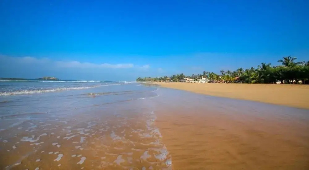 Sath Villa Naadi Ayurveda Resort
