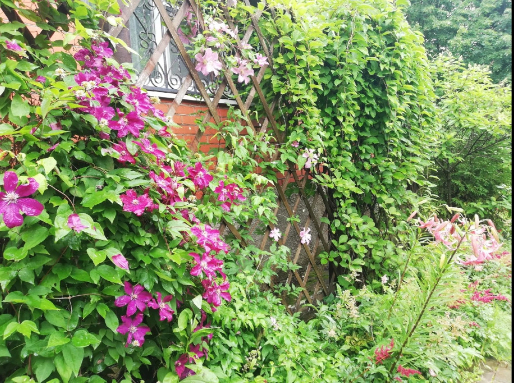 Dlya Dushi I Serdtsa U Mozhayskogo Morya Guest house
