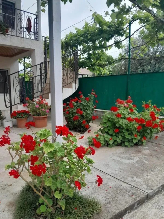 Mayak Guest House