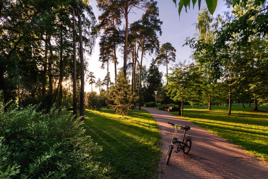 Gostevoy dom Sokolov
