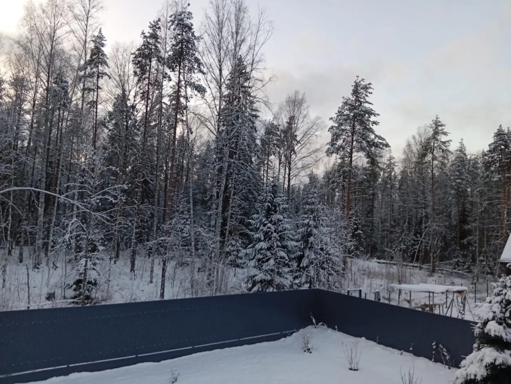 Частный дом у леса