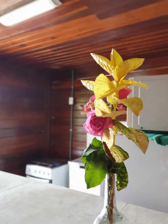 Бунгало Casa Floresta Noronha