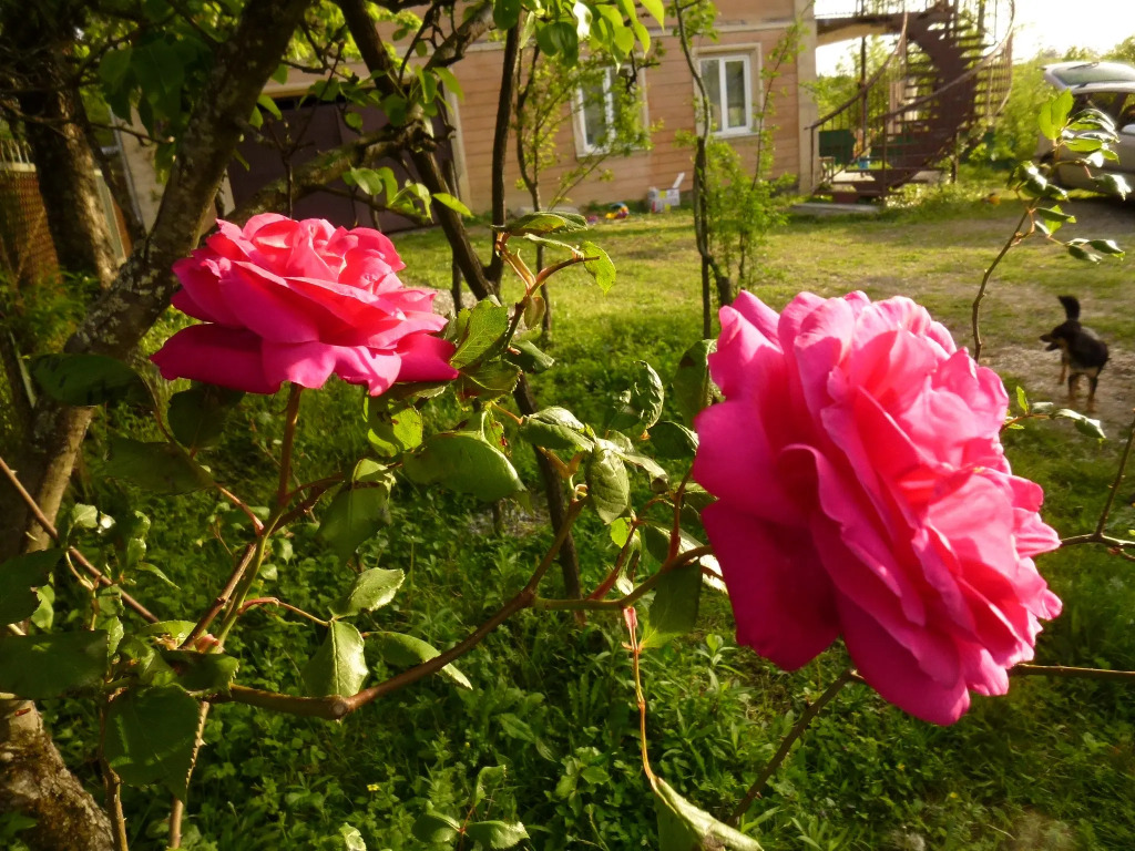 Country House Uliana