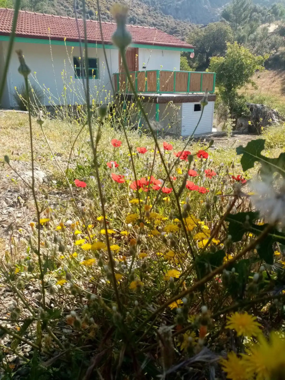 Iztuzu Homes