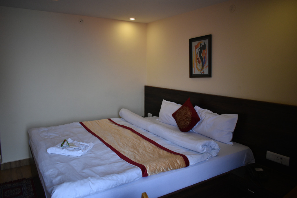 Hotel The Narayani Continental