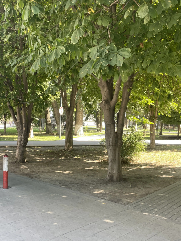 Квартира в самом центре