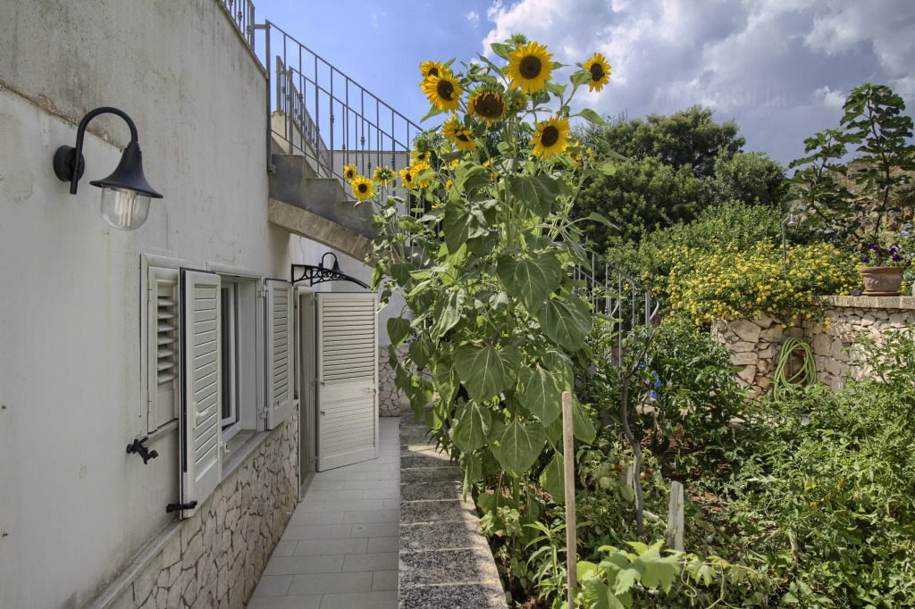 Polo - Relax Front Sea House