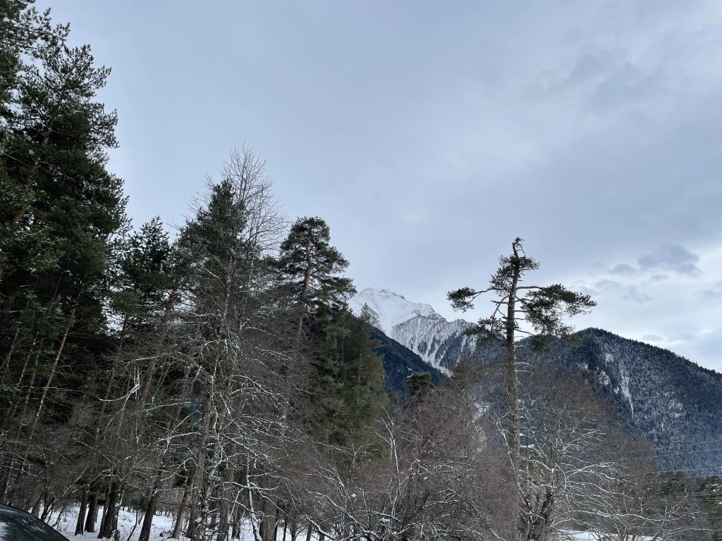 Шале Paradise Forest 5