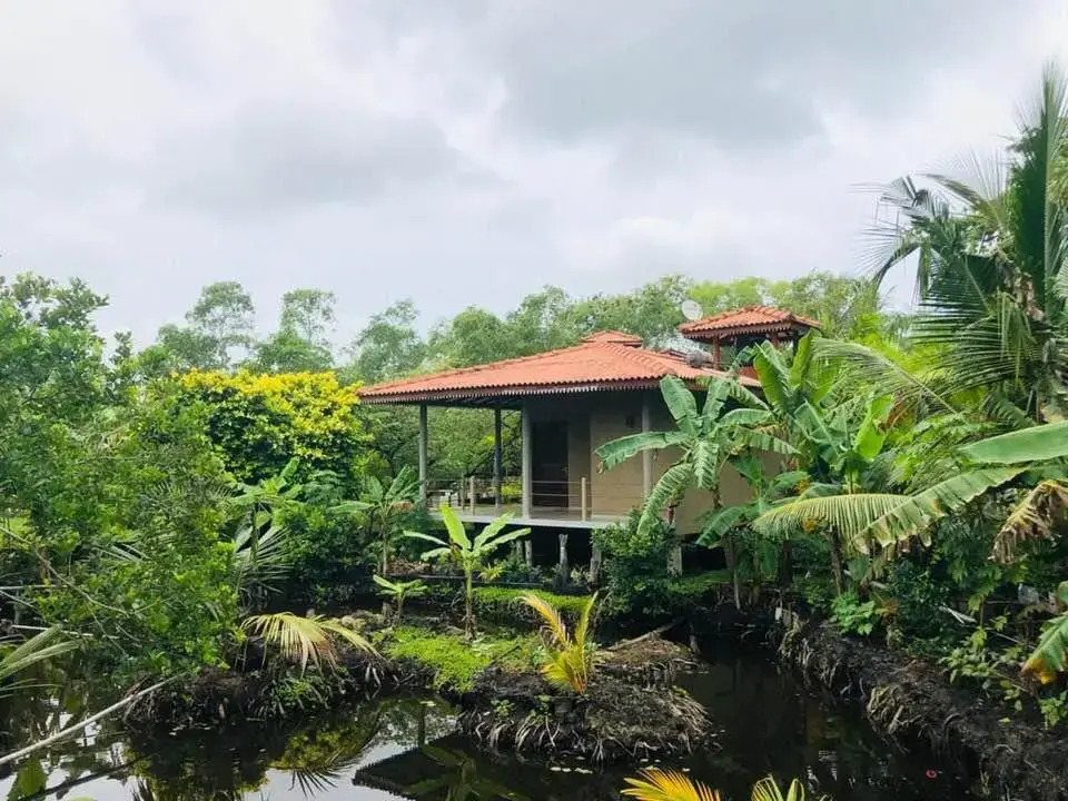 Mass Eco Cabana by Ruby