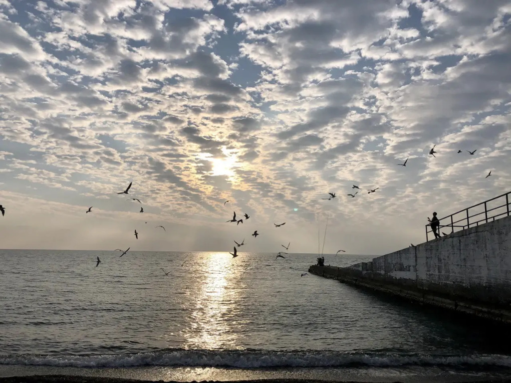 Квартира У Самого Моря