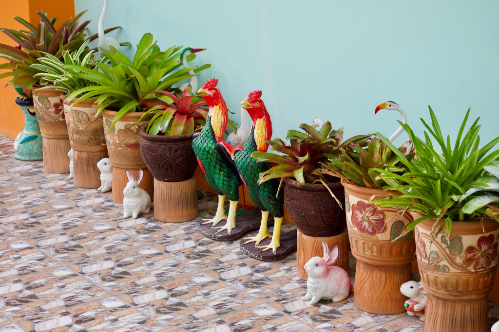 Jardin