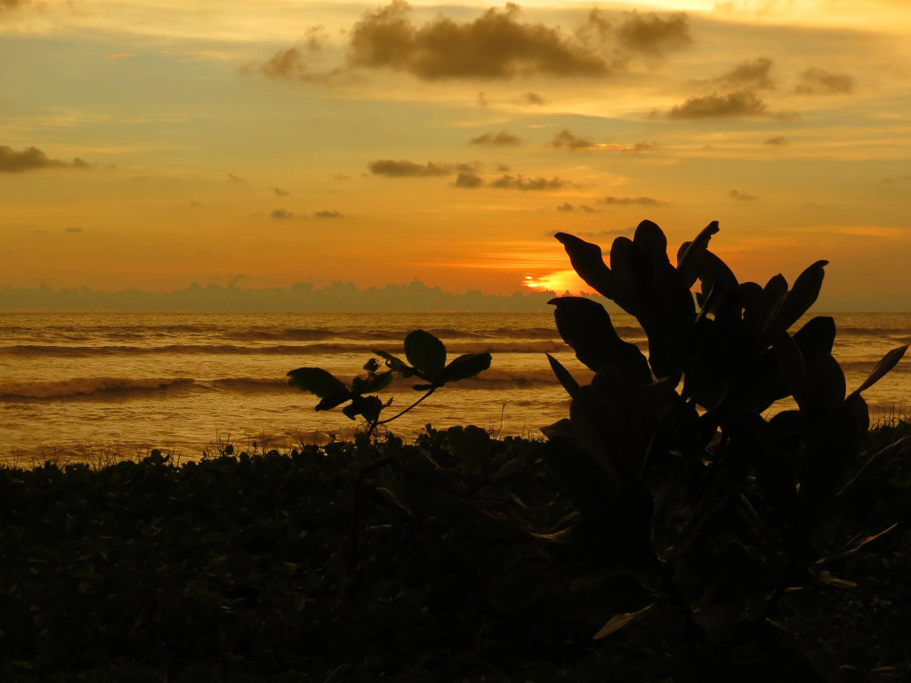 Maresia Beach Villa
