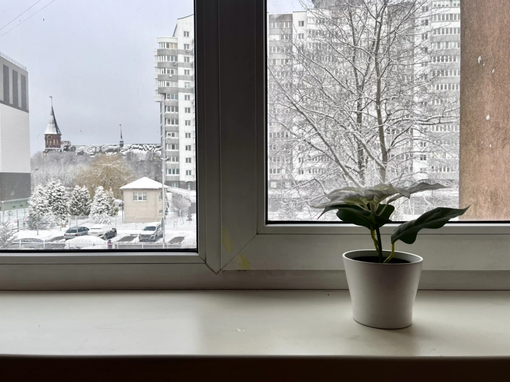 Квартира Семейная с Видом на Кафедральный Собор