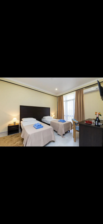 Двухместный номер Standard (двуспальная кровать) в BMG hotel