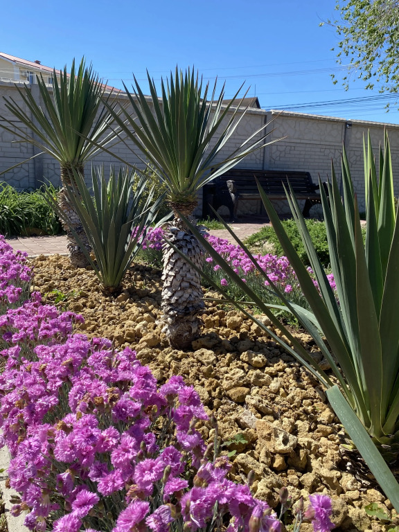 Rompol Guest house