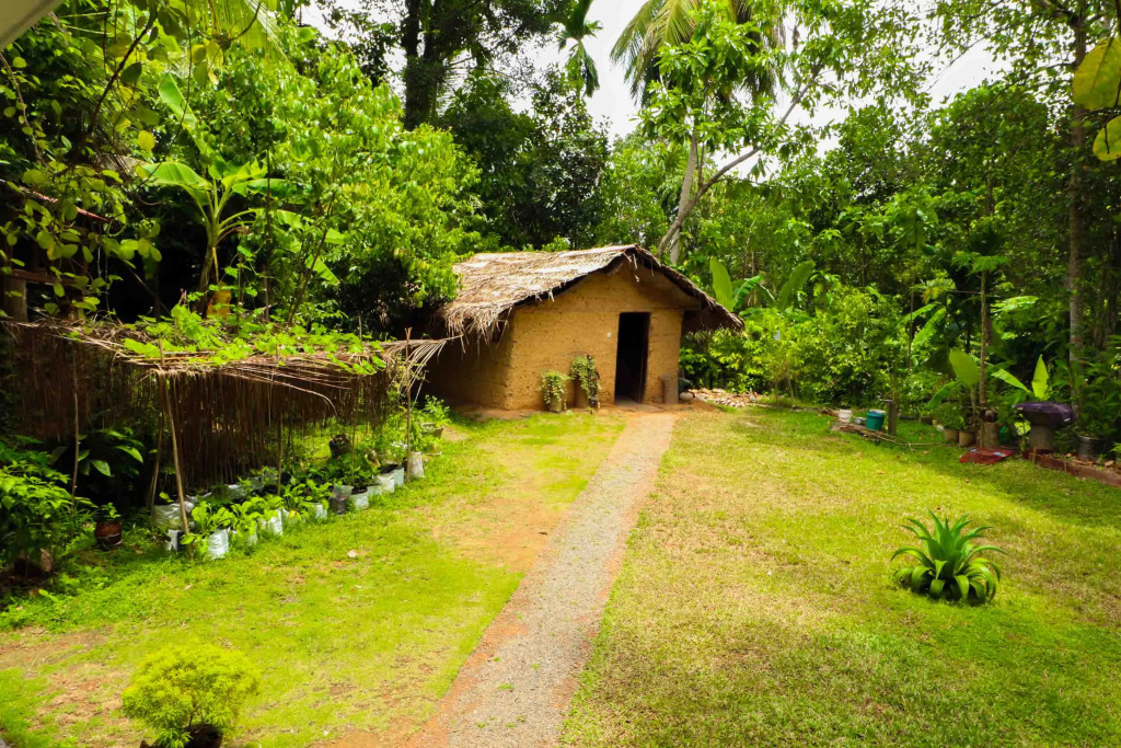 Pahalagawattha Homestay