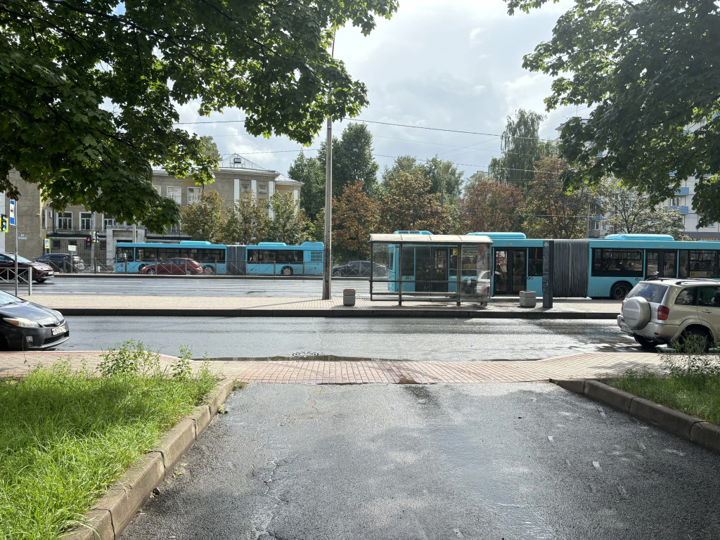 Уютная квартира на Заневском проспекте 32 рядом с центром