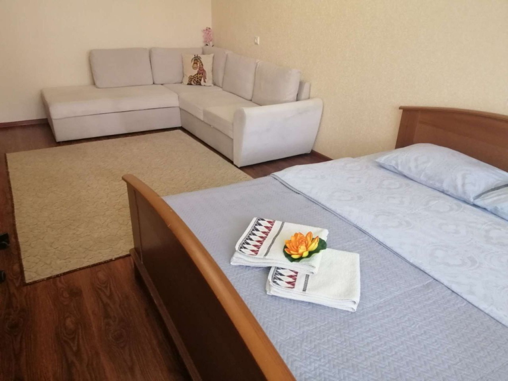 Квартира на улице Красных Партизан 6