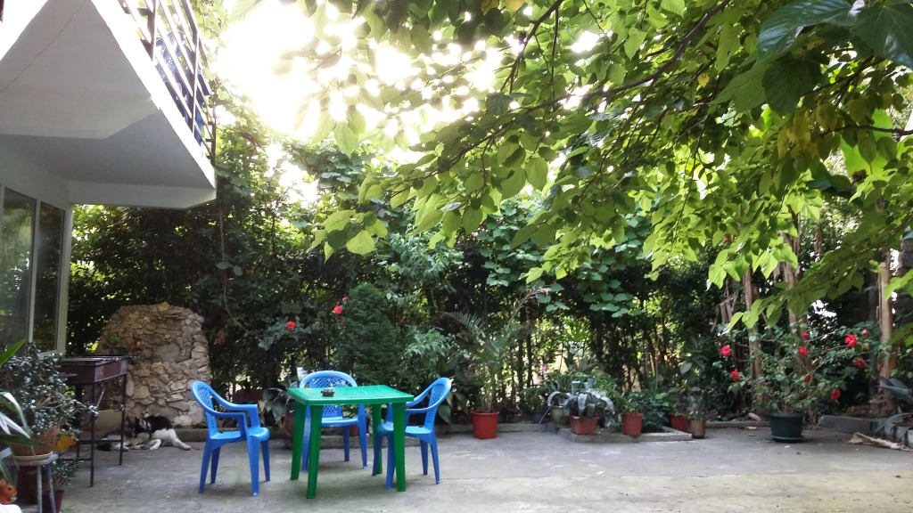 Kivi Guest House