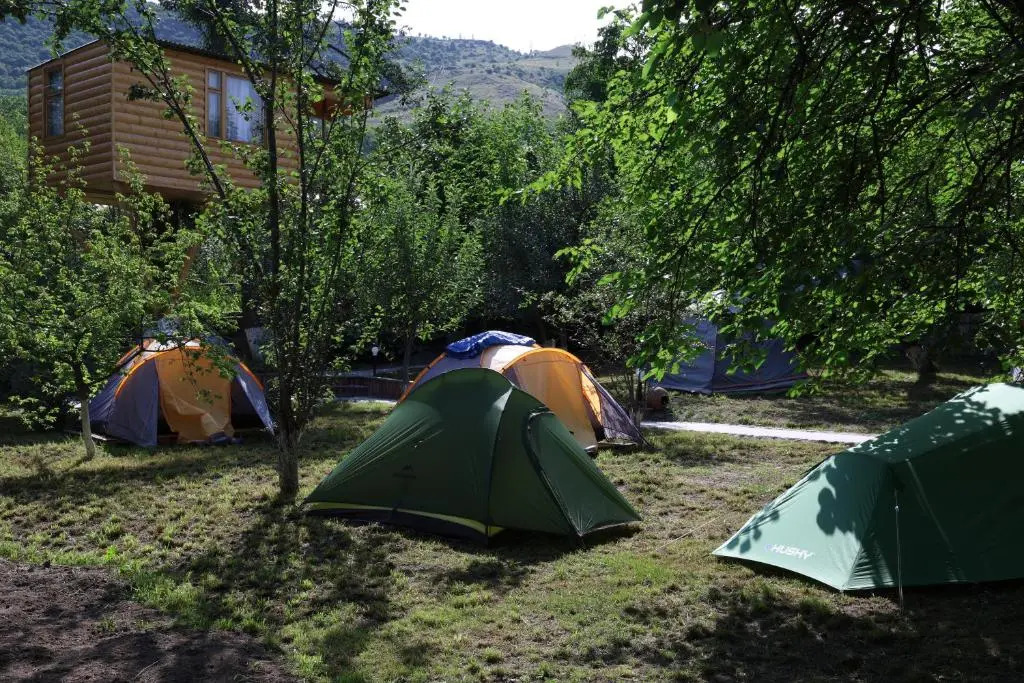 Глэмпинг Tree House Cafe & Homestay