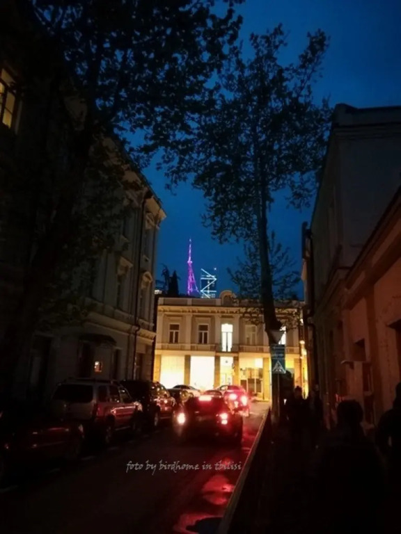 Апартаменты Birdhome in Tbilisi