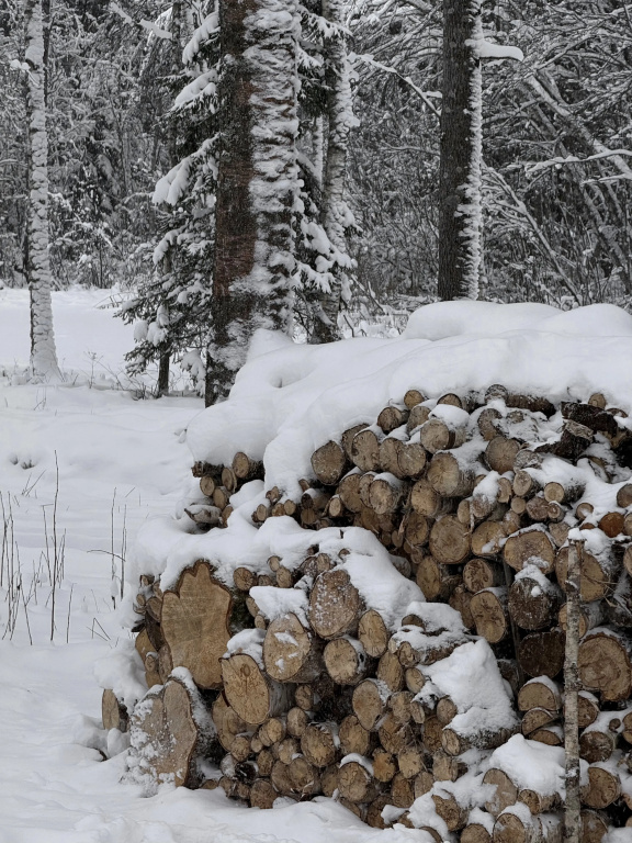 Частный дом BIRCH на Берёзовой 2