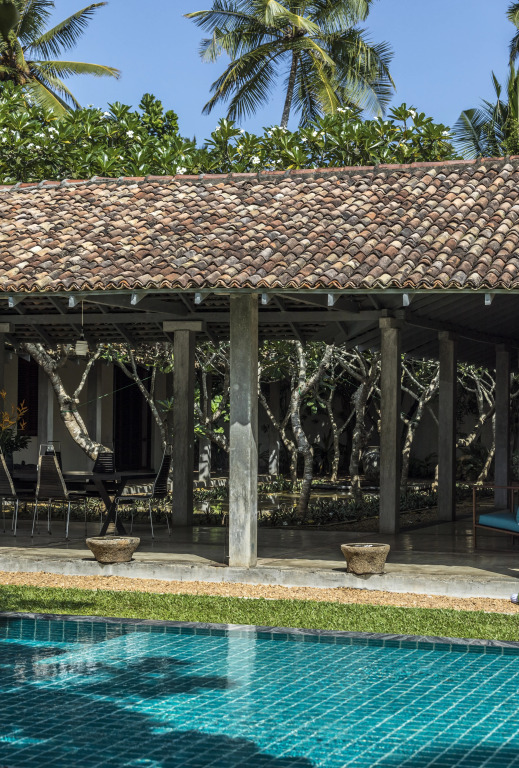 The Frangipani Tree by Edwards Collection - Thalpe