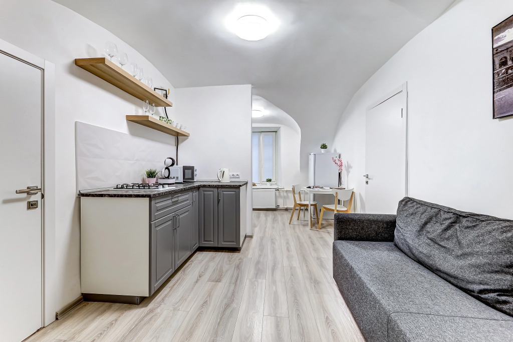 Апартаменты Ingria Liteyny