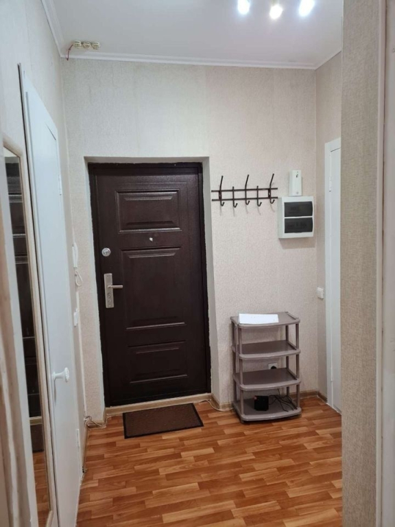 Квартира на Софьи Перовской 117А