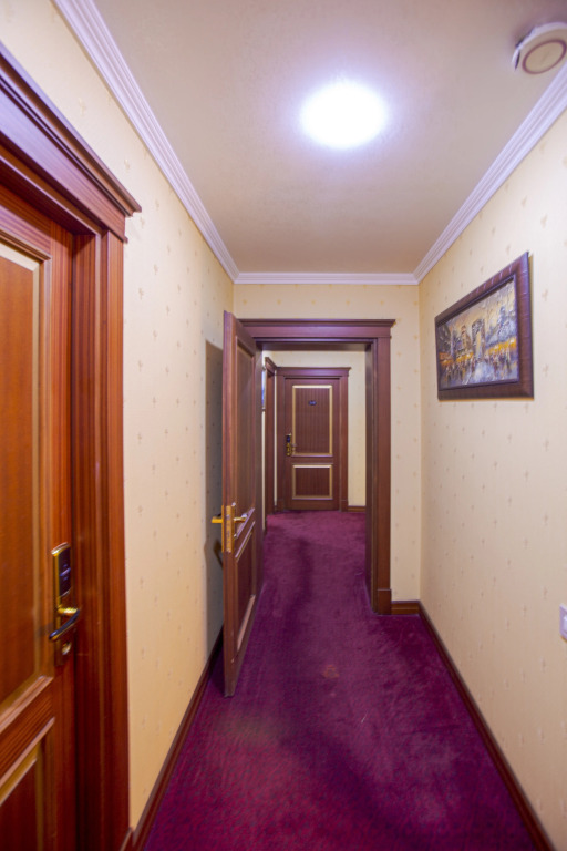 Clover Hotel F1 View