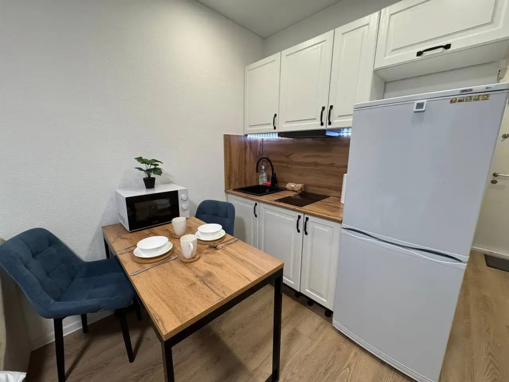 Studiya V Moskve Flat