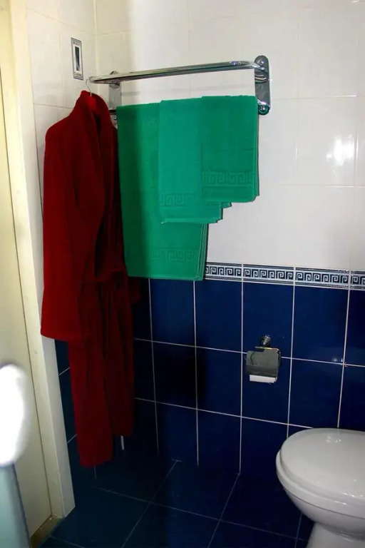 Отель Кедр