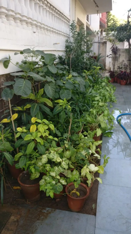 Abode Homestay