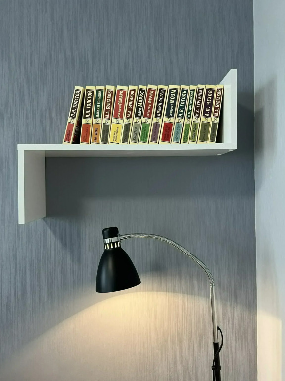 Studiya Belosnezhka V Vidnom Flat
