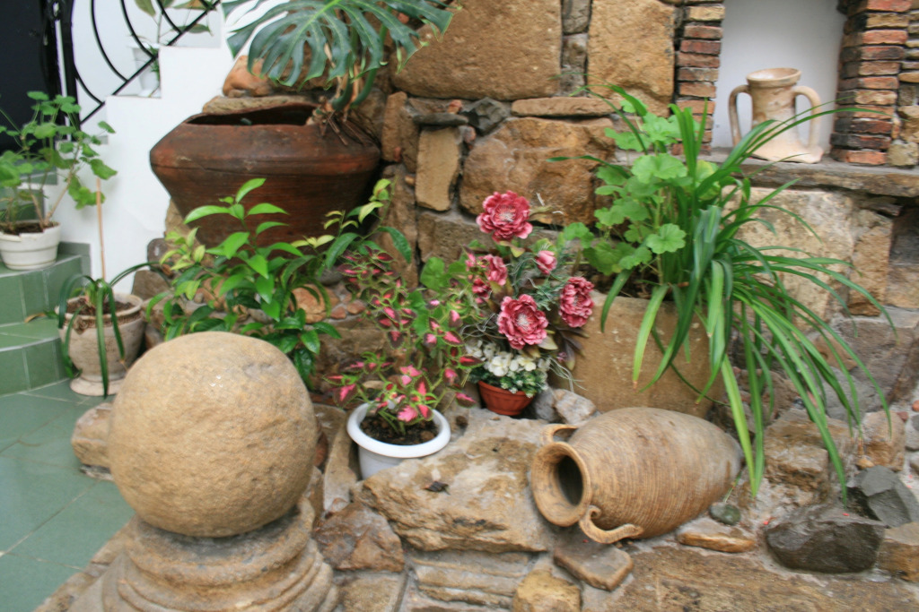 Kaffa Guest House