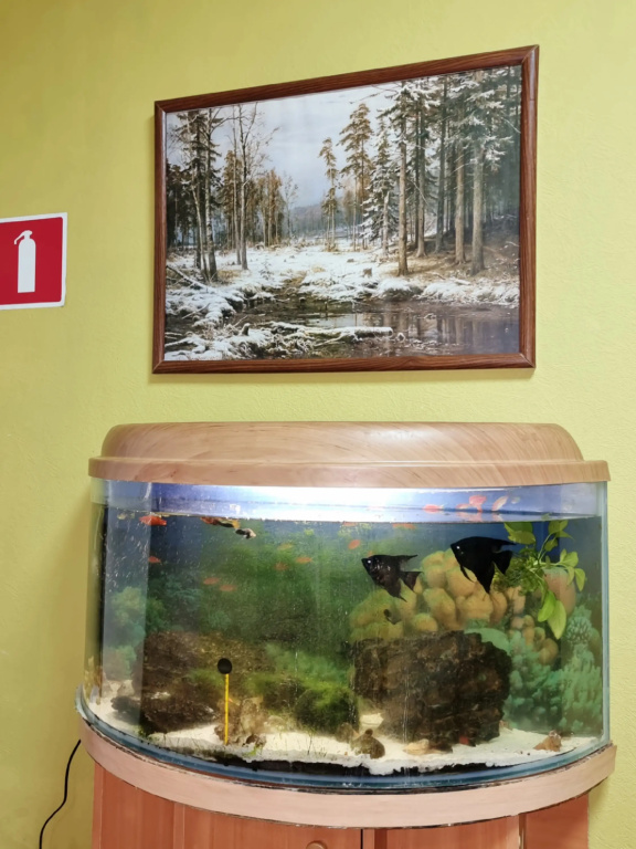 Отель Кристалл